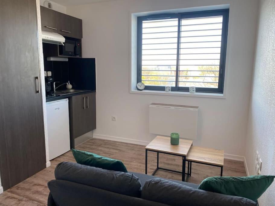 La Suite Griffon - Parking & Balcon Toulouse Exterior photo